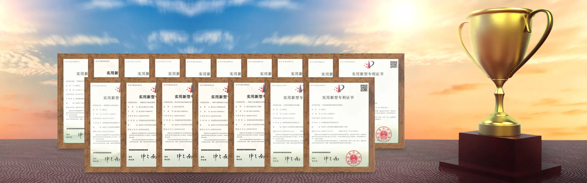 Kwalifikacje i wyróżnienia