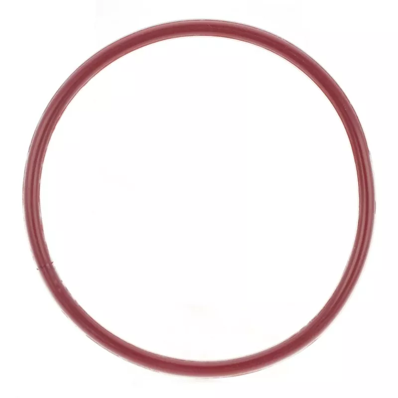 O-ring w obudowie FEP/PFA