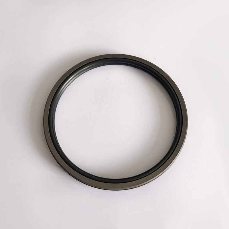 Hydraulic Seals For Piston Holes Hydraulic Seals For Piston Holes