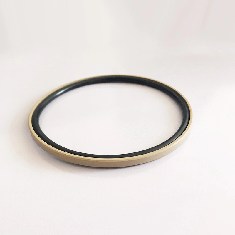 Hydraulic Seals For Piston Holes Hydraulic Seals For Piston Holes