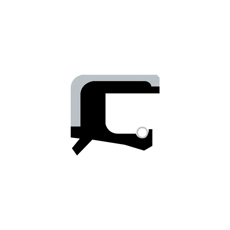 Rotating Shaft Lip Seals
